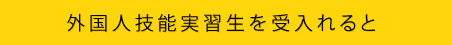 外国人技能実習生を受入れると