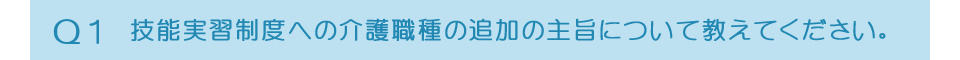 介護職種の追加の主旨について